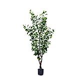 BLOOMR Potted Artificial Ficus Tree, Trendy Luxury Silk Fabric Green Decorative Indoor Faux Plant, 6 | Amazon (US)