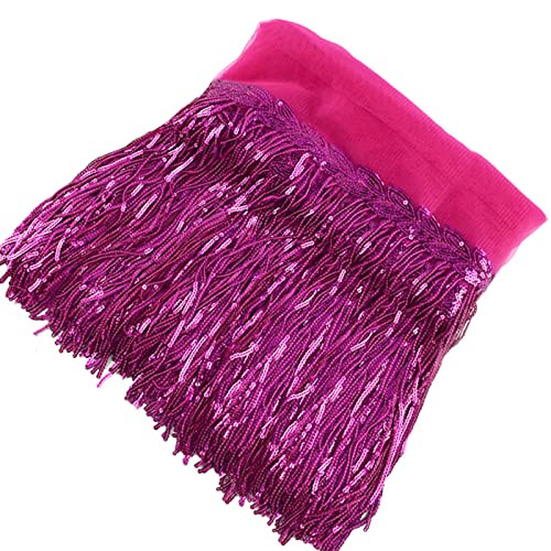 10 Yards Sparkly Sequined Tassel Ribbon Sequins Fringe Trim Spangle Paillette Lace Fabric for Sew... | Amazon (US)