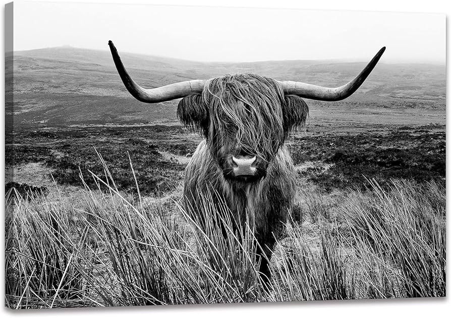 Highland Cow Wall Art Canvas Black and White Artwork Canvas Picture Highland Cow Prints Paintings... | Amazon (US)