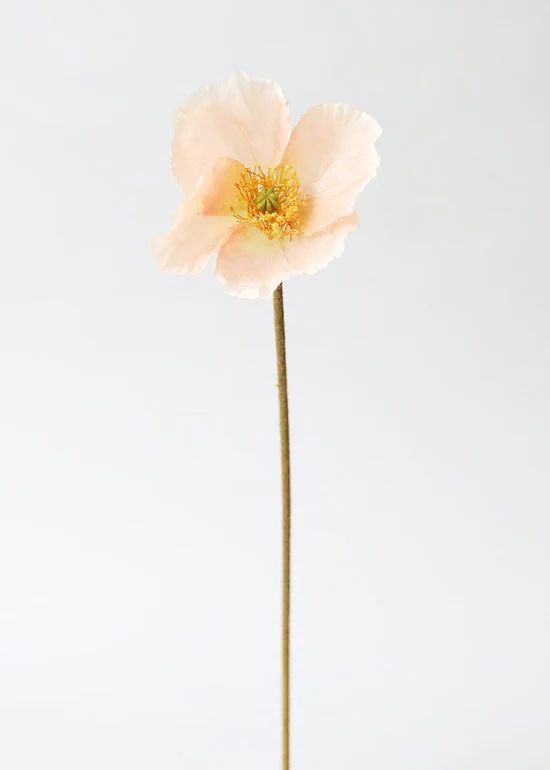 Soft Peach Silk Poppy | Afloral (US)