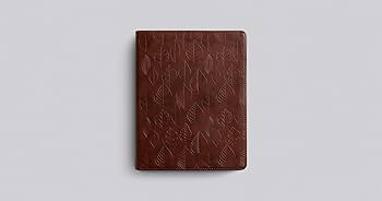 ESV Single Column Journaling Bible (TruTone, Chestnut, Leaves Design) | Amazon (US)