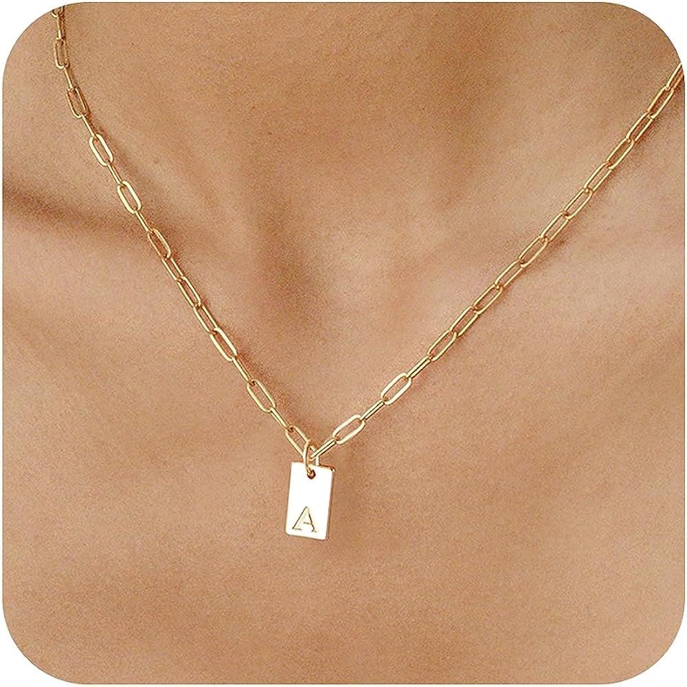 Initial Necklaces for Women 14K Gold Plated Letter Necklace Dainty Gold Name Necklace Personalize... | Amazon (US)