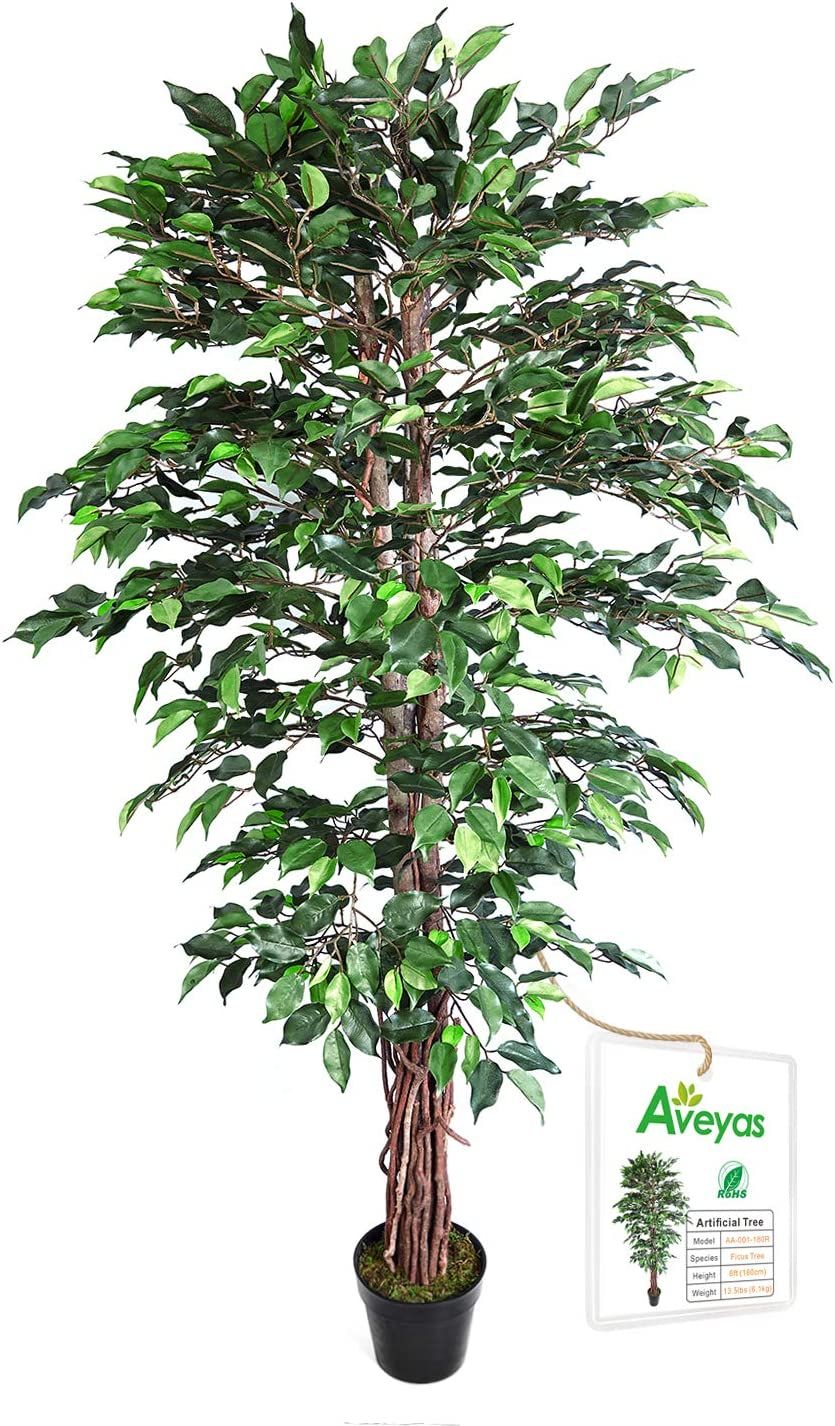 Aveyas 6ft Artificial Ficus Silk Tree (72in) with Plastic Nursery Pot, Fake Plant for Office Hous... | Amazon (US)