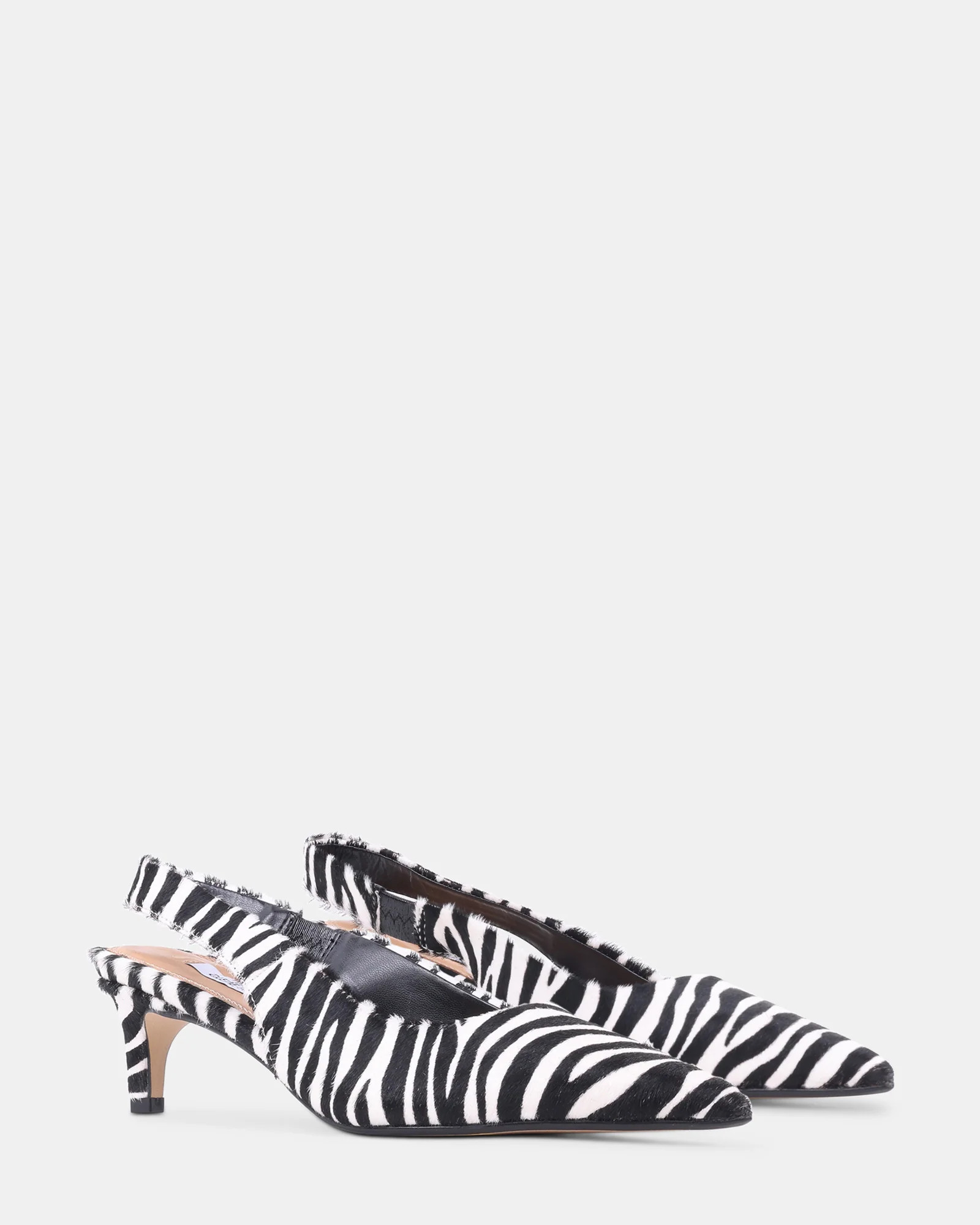 CARMEN ZEBRA | Steve Madden (Canada)