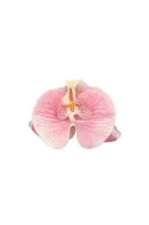 Orchid flower hair clip | PULL and BEAR UK