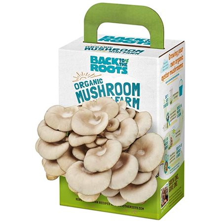 Back to the Roots Organic Mini Mushroom Grow Kit Harvest Gourmet Oyster Mushrooms In 10 days Top Gar | Walmart (US)