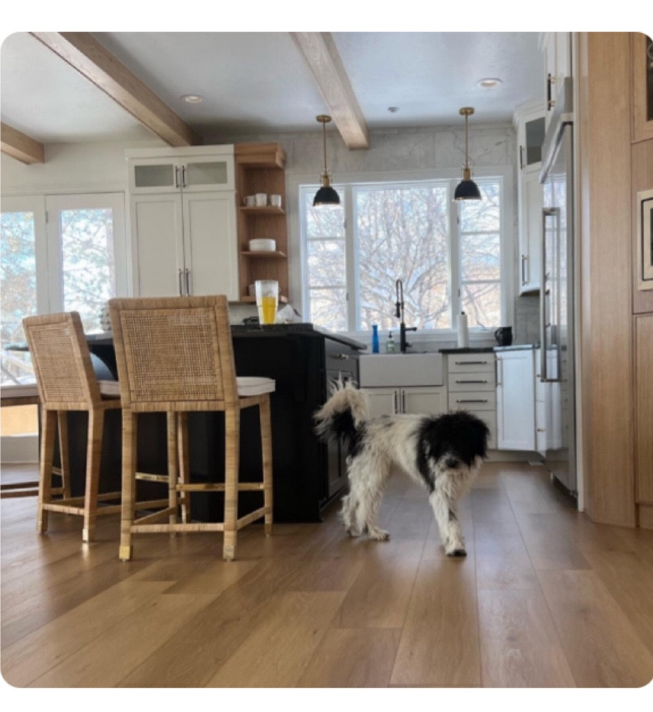 My favorite barstools are currently on sale!!💗
.
.

#LTKGiftGuide
#LTKCon
#LTKSeasonal
#LTKSale
#LTKHoliday
#LTKVideo
#LTKHalloween
#LTKhome
#LTKU
#LTKsalealert
#LTKover40
#LTKmidsize
#LTKparties
#LTKfindsunder50
#LTKfindsunder100
#LTKbeauty
#LTKstyletip
#LTKfitness
#LTKplussize
#LTKworkwear
#LTKshoecrush
#LTKbump
#LTKmens
#LTKbrasil
#LTKswim
#LTKitbag
#LTKkids
#LTKwedding
#LTKaustralia
#LTKtravel
#LTKbaby
#LTKfamily
#LTKeurope
#LTKAsia

#LTKHolidaySale #LTKfamily #LTKsalealert