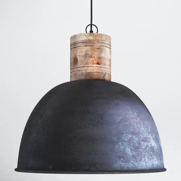 Meredith 1 - Light Single Dome Pendant with Wood Accents | Wayfair North America