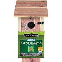 Pennington Cedar Bluebird Wild Bird House, 1 unit | Walmart (US)