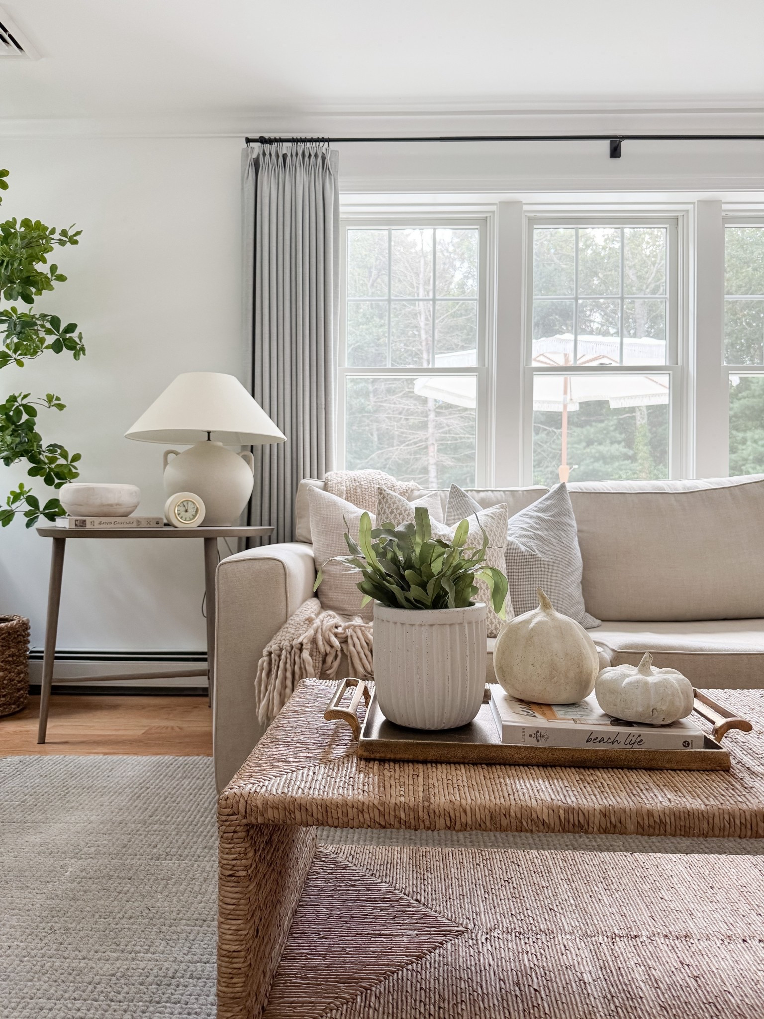 Coastal Living Room

Coastal living room  throw blanket, throw pillows, potter barn sofa, faux fern, concrete planter, white decorative boxes, jute rug, sherri calnan home 

 

#LTKFindsUnder50 #LTKHome #LTKSeasonal