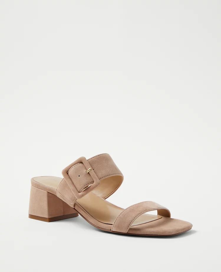 Suede Two Strap Buckle Sandals | Ann Taylor (US)