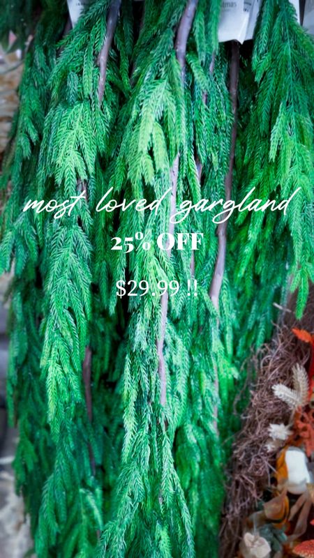 Norfolk Pine Natural Touch Garland, 5 ft 
Christmas fireplace 
My favorite Christmas Gargland is on sale! Selling out every single year. Looks so realistic. Real touch Nortfolk pine gargland. Adding more favorites which are included in this amazing sale and are also holiday must haves.

#kirklands #gargland #christmas #decor 

#LTKHoliday #LTKHolidaySale #LTKsalealert