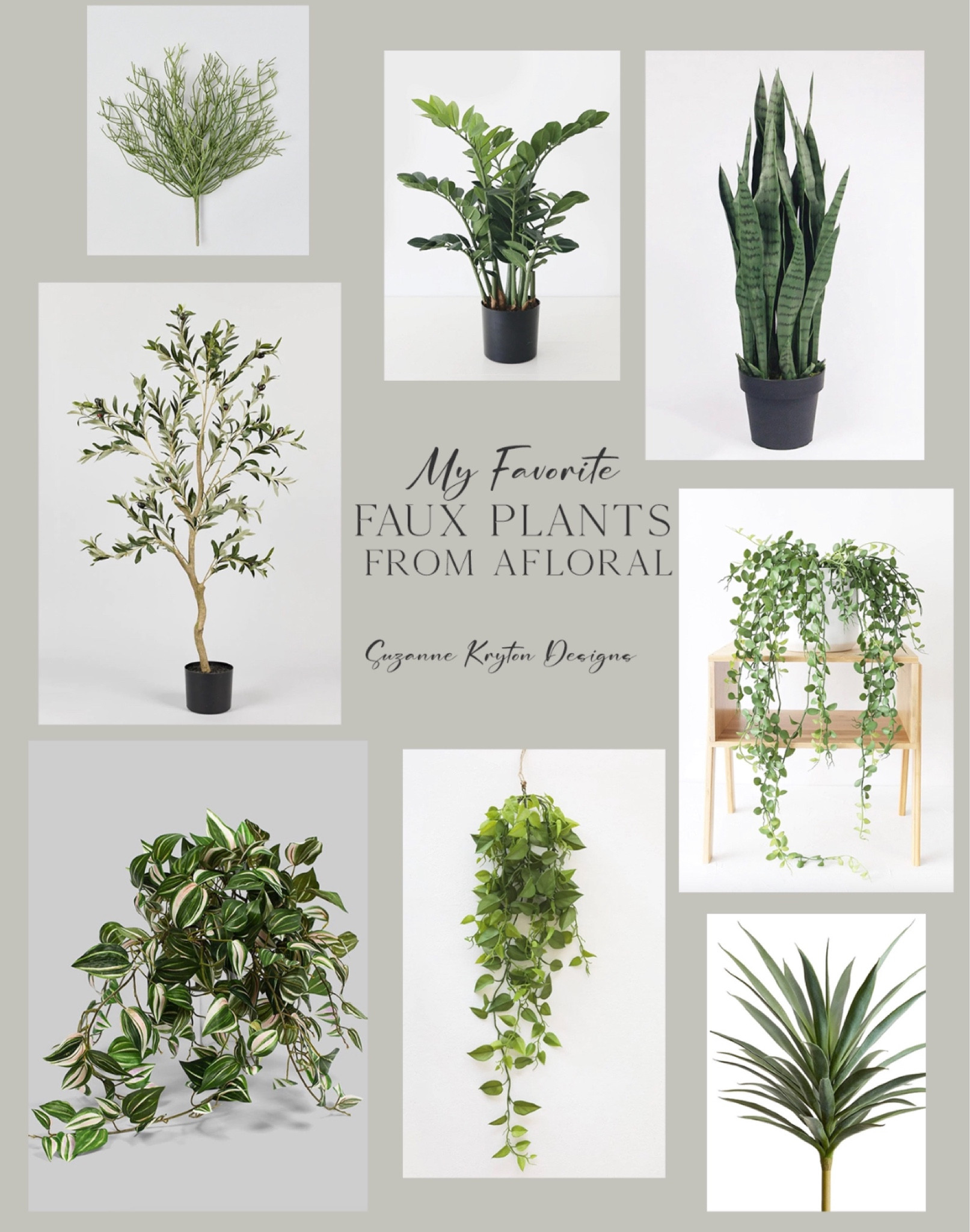 Best faux plants for your Home decor from Afloral! 

#LTKhome #LTKFind #LTKSeasonal