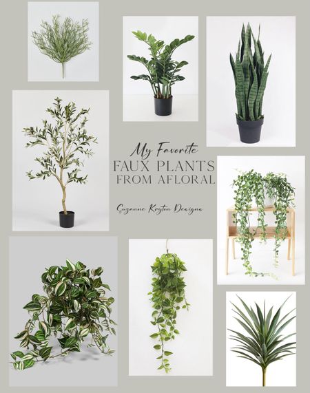 Best faux plants for your Home decor from Afloral! 

#LTKhome #LTKFind #LTKSeasonal