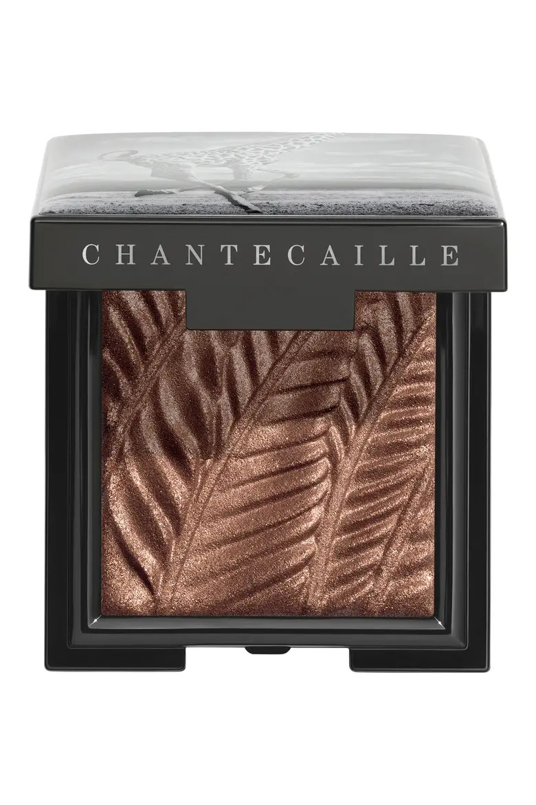 Chantecaille Luminescent Eyeshadow in Rhinoceros at Nordstrom | Nordstrom