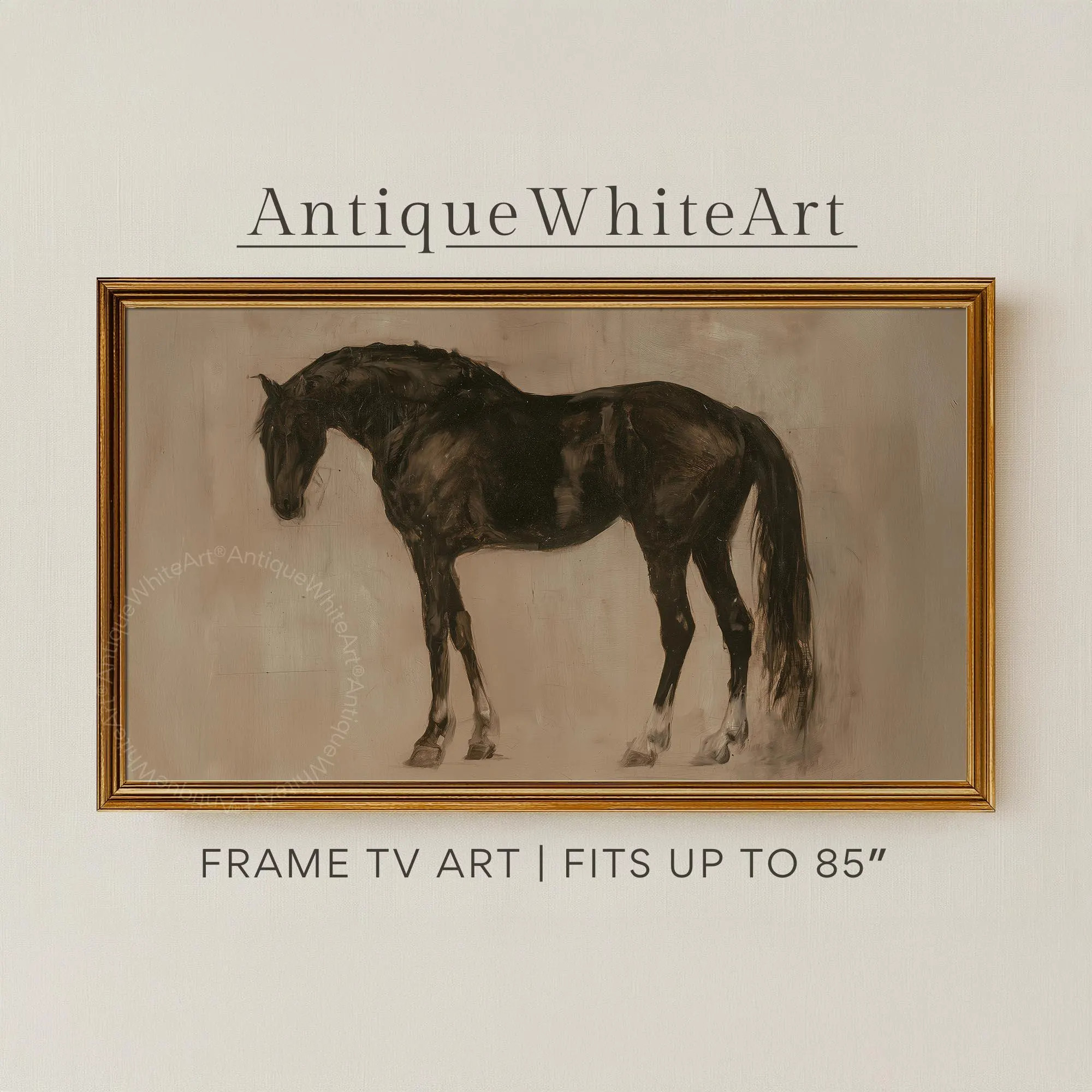 Vintage Equestrian Frame TV Art, Black Horse Digital Download TV1062 | Etsy (Global)