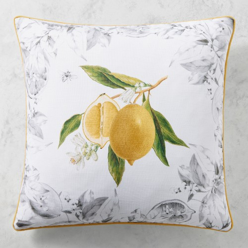 Meyer Lemon Indoor Outdoor Pillow, 22"" X 22 | Williams-Sonoma