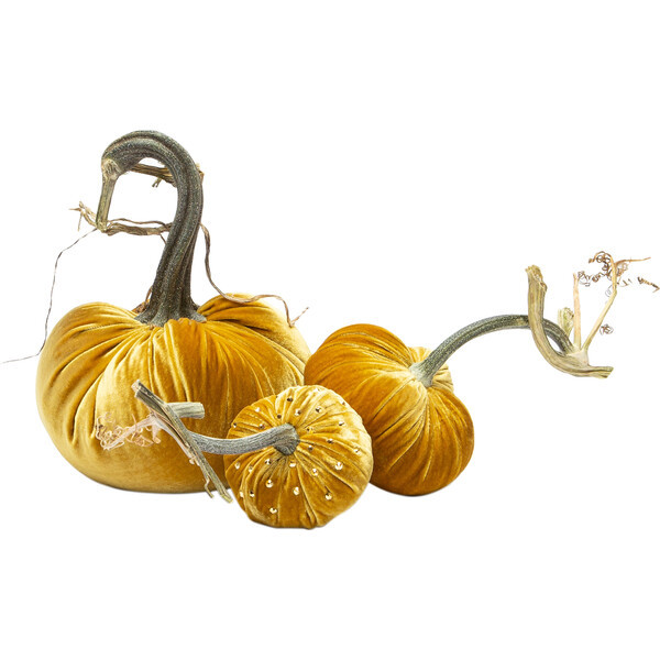 *Exclusive* Crystal Pumpkin Trio, Gold | Maisonette