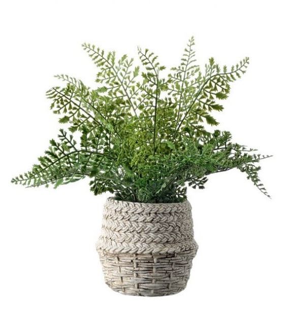Natural Touch Leather Fern in Cement Pot | The Nested Fig