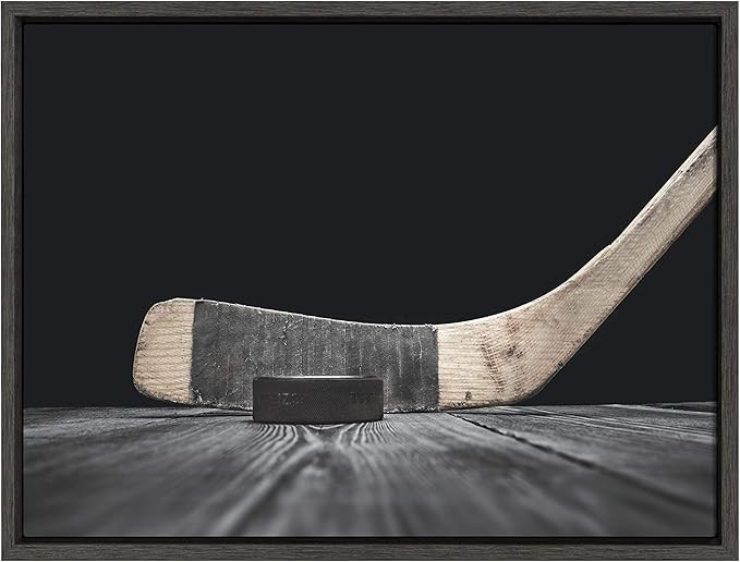Sylvie Vintage Hockey Stick And Puck Framed Canvas Wall Art By Shawn St. Peter, 18x24 Dark Grey, ... | Amazon (US)