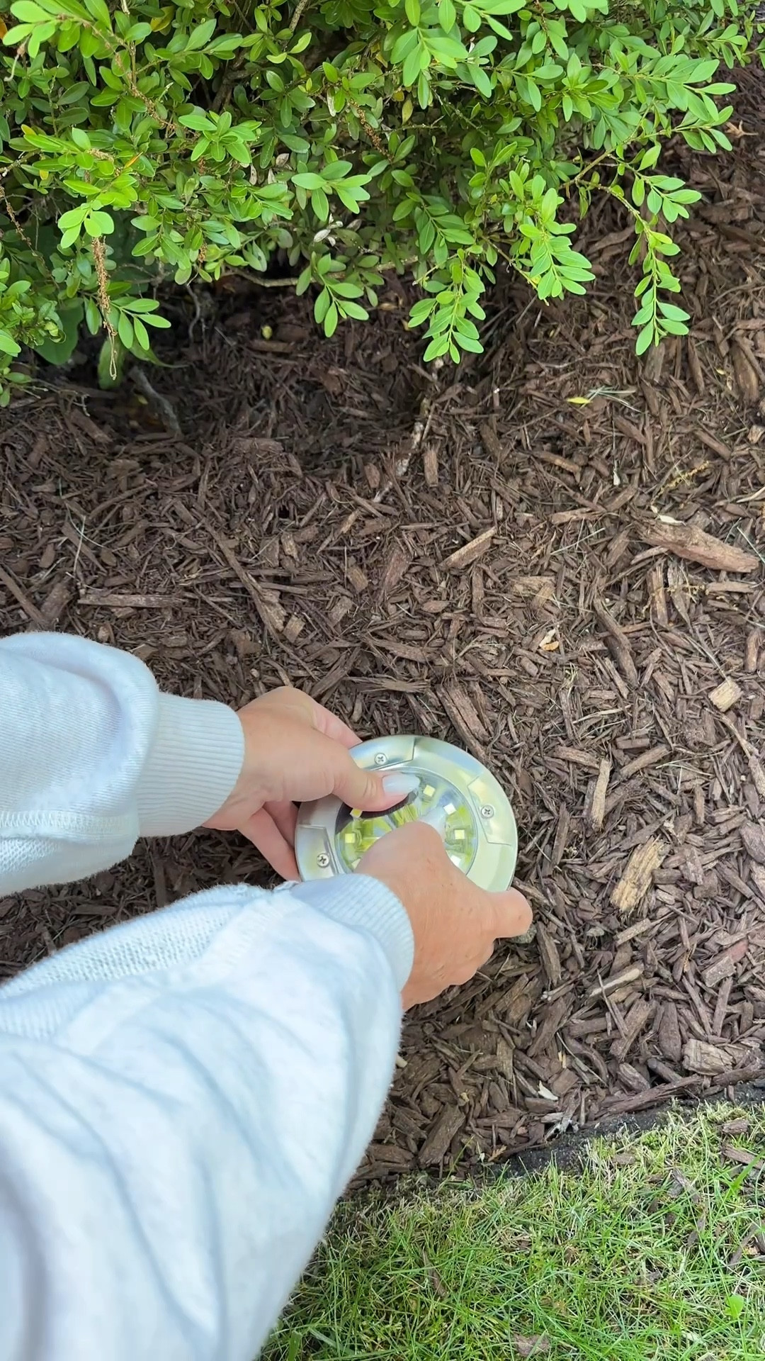 Here’s a bestseller on both Instagram and TikTok! ✨

I’m going in to the third season and these still work great. Affordable solar lighting. Transform your yard with this Amazon find. 

outdoor living | landscaping | patio | backyard | home


#LTKHome #LTKSaleAlert #LTKmomlife