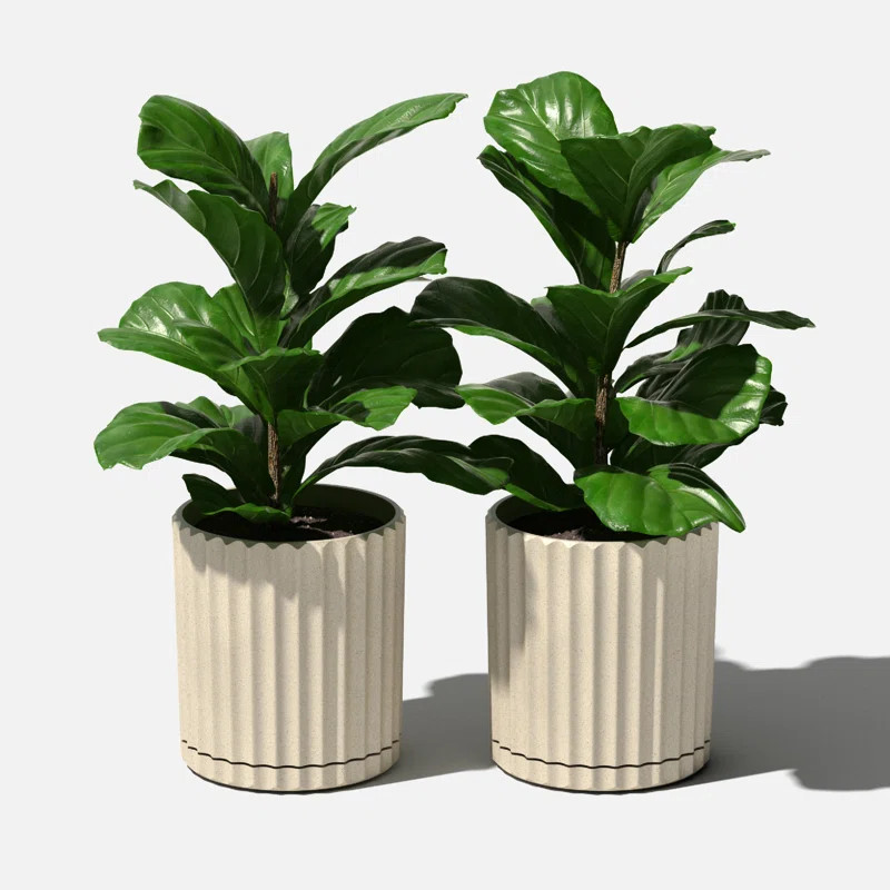 Veradek Demi Series 6" Planter | Wayfair North America