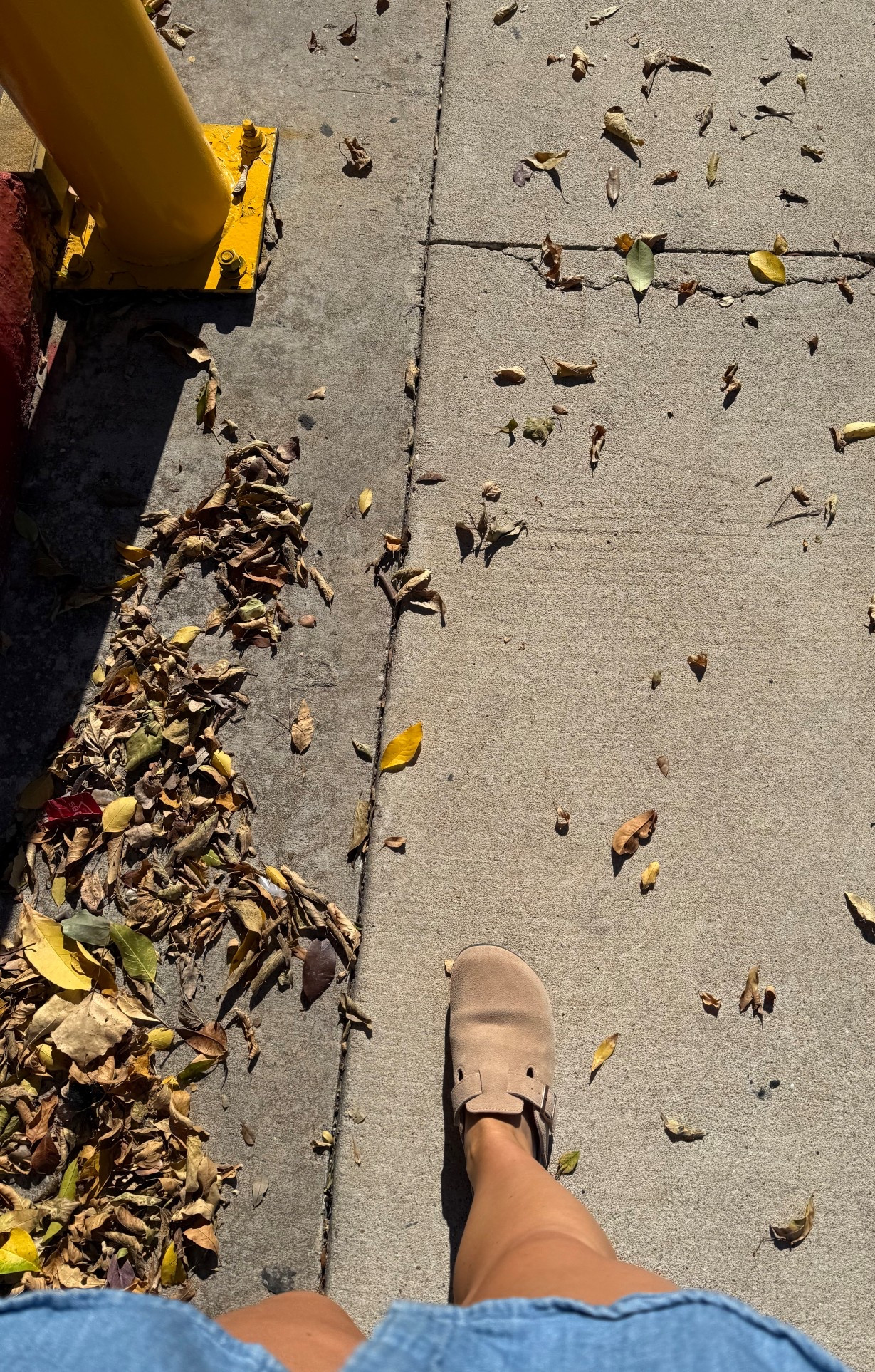 Birkenstock style clogs for less! Fit TTS - wearing my true size 7

#LTKShoeCrush #LTKFindsUnder50 #LTKSeasonal