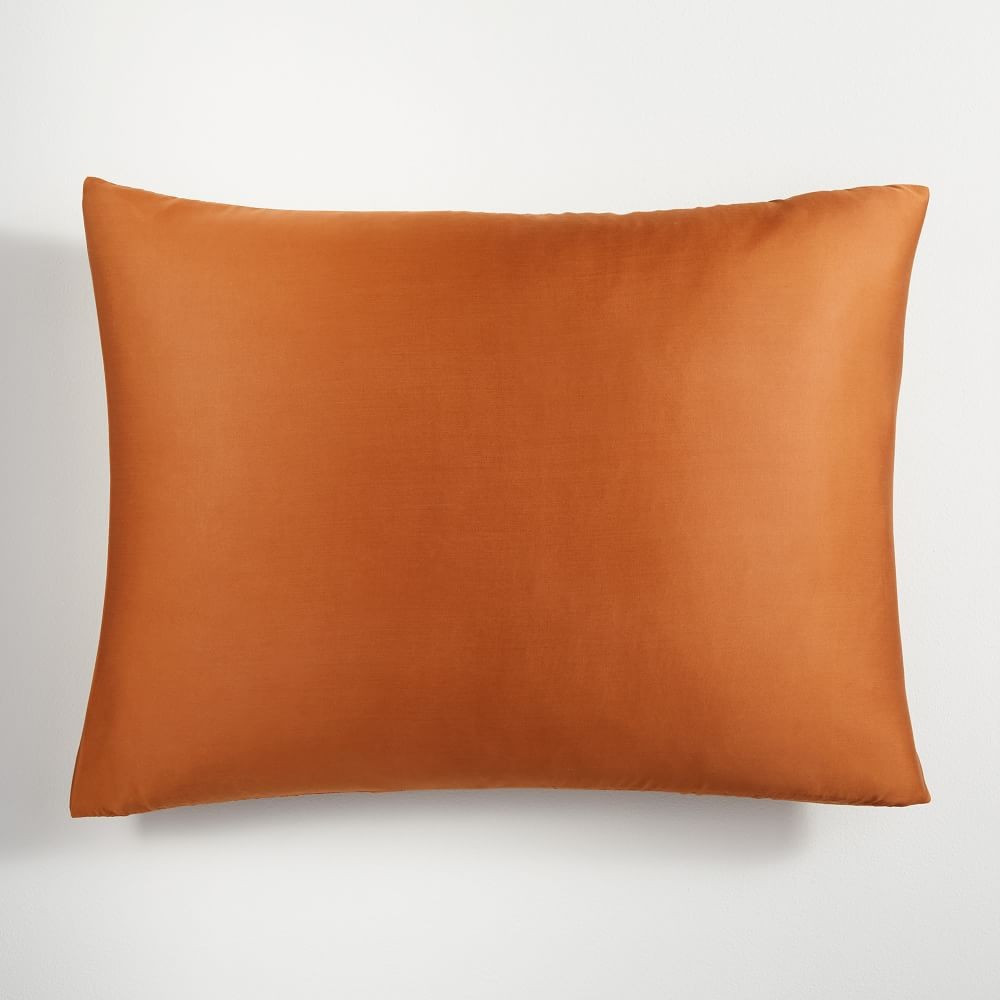 Silky TENCEL&trade; Duvet Cover & Shams | West Elm (US)