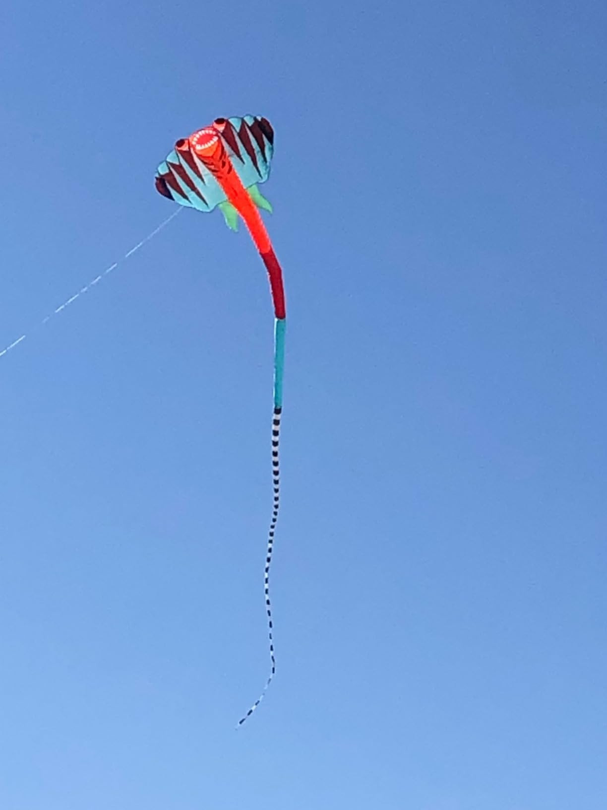 Kites for Adults Giant 41ft Stingray Kite for Adults and Kids Large & Beach Kite with Reel, for Outdoor Fun | Amazon (US)