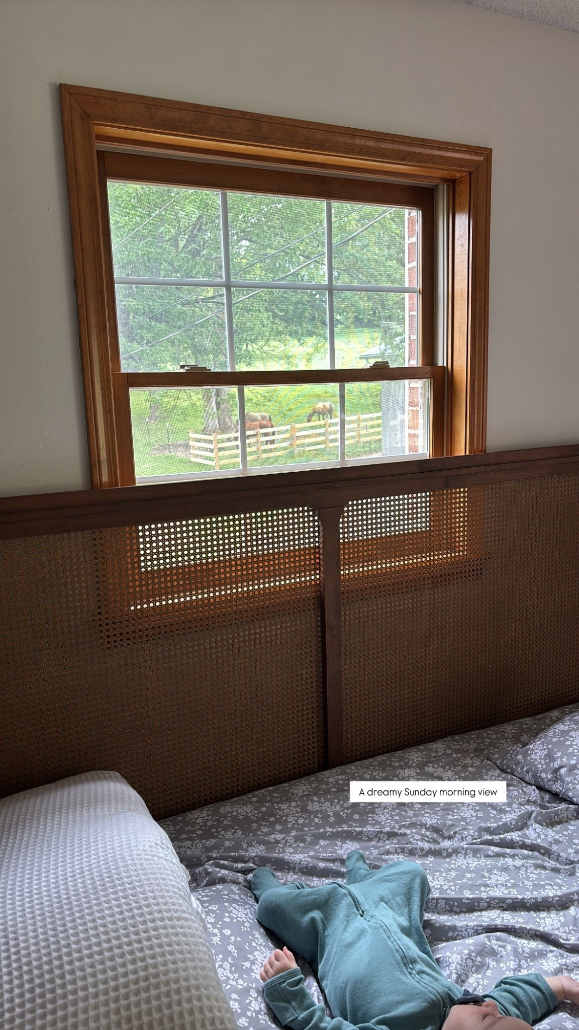 Found this headboard on Facebook market place! Love the rattan and light wood! Our furniture keeps moving around the room as we’re renovating but I love this window in our bedroom with a view of the horses and highland cows!

#LTKFamily #LTKHome #LTKautumn