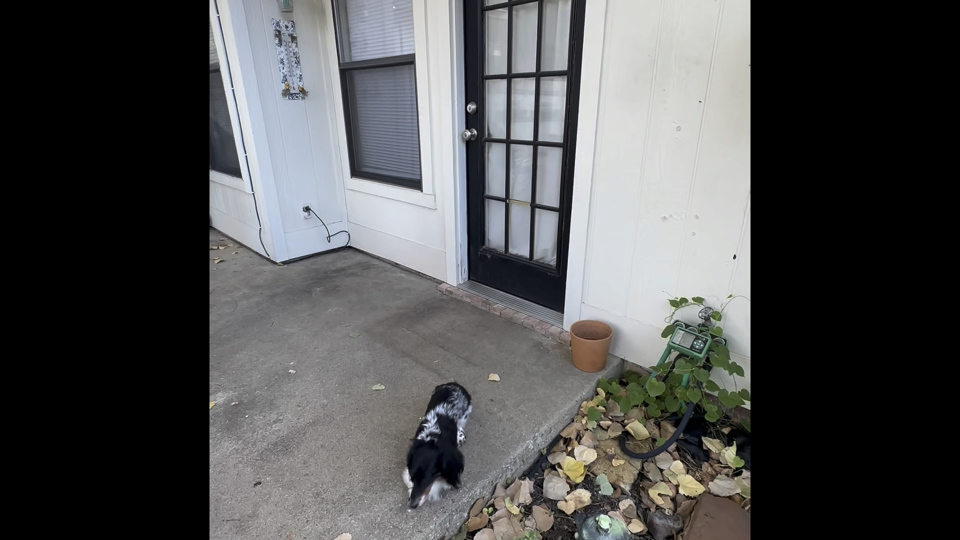 The only outdoor decor you’ll need on your covered porch this season! Get it before they’re gone...

#LTKSeasonal #LTKhome #LTKHolidaySale