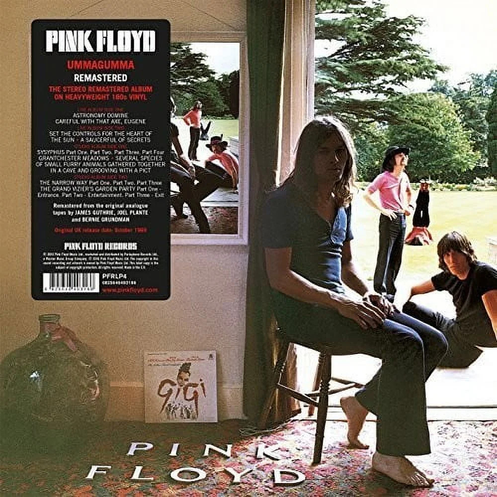 Pink Floyd - Ummagumma - Vinyl | Walmart (US)