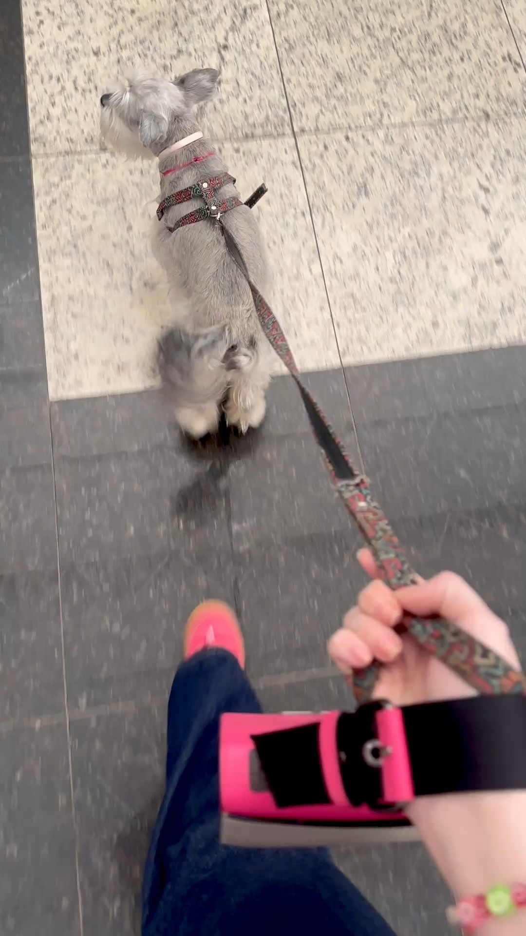 Passeio no shopping 

#LTKbrasil