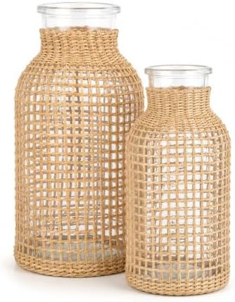 DOITOOL Rattan Vase Boho Woven Glass Vase, Country Rustic Style Wicker Floral Container, Farmhous... | Amazon (US)