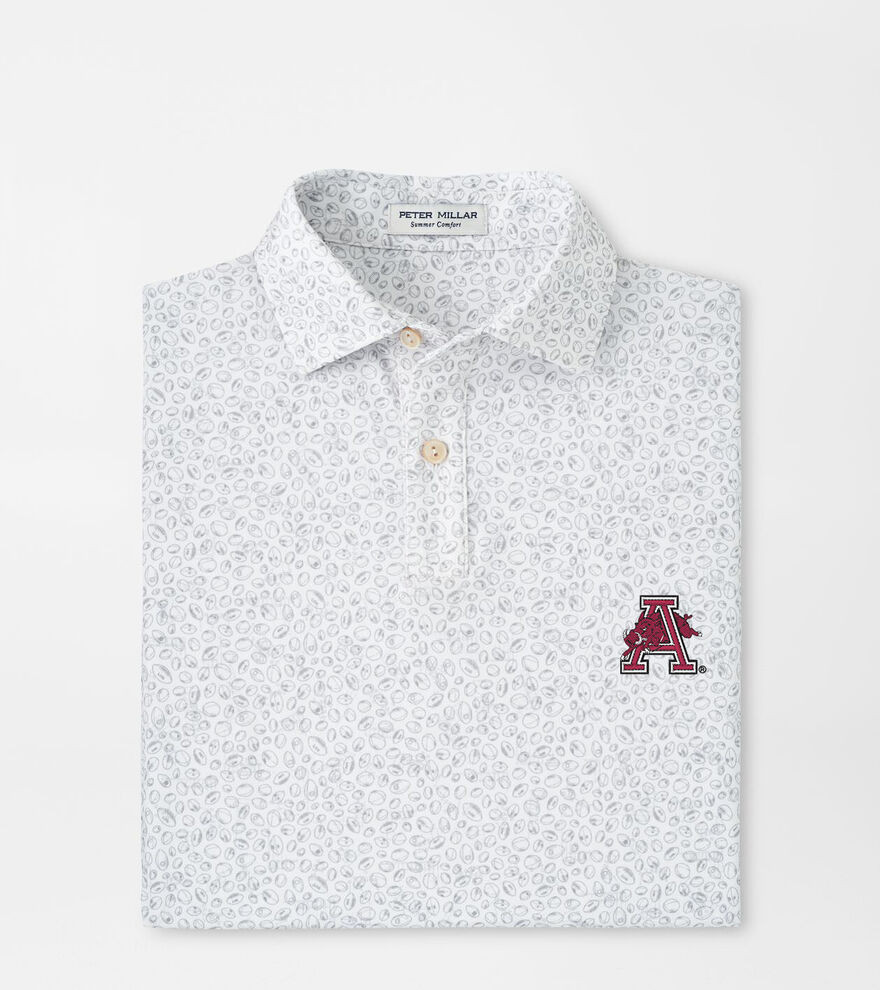Peter Millar Arkansas Vault Blitz Youth Performance Jersey Polo | Color: White / Gale Grey | Size... | Peter Millar