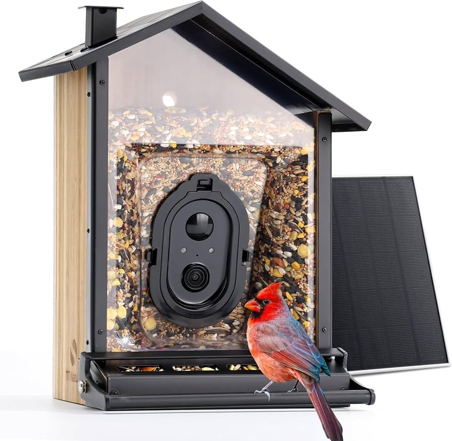 Upgrade Squirrel-Proof Bird Feeder with Camera, Solar Powered, Smart AI Bird Species Recognition,... | Amazon (US)
