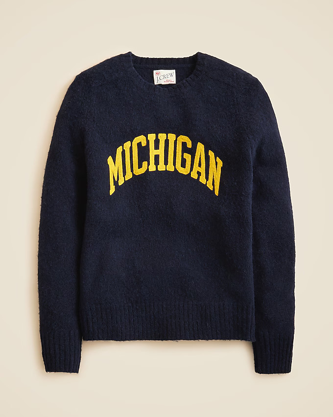 '47 X J.Crew brushed wool Michigan sweater | J. Crew US