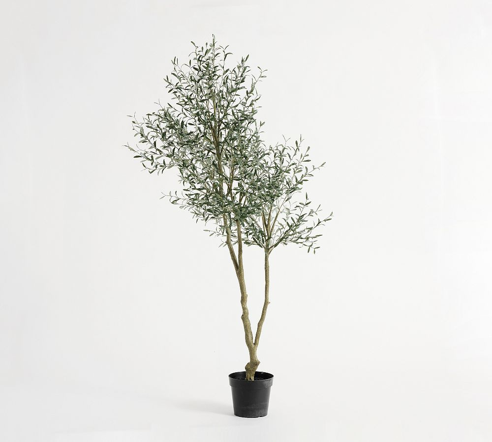 Faux Faded Olive Leaf Tree | Pottery Barn (US)