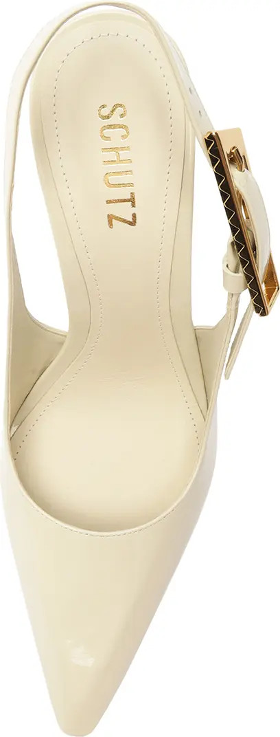 Ciara Slingback Pointed Toe Pump (Women) | Nordstrom