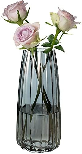 MOLIMAO Glass Vase for Home Office Restaurant Decoration Modern Simple Style Vertical Edge Lines ... | Amazon (US)