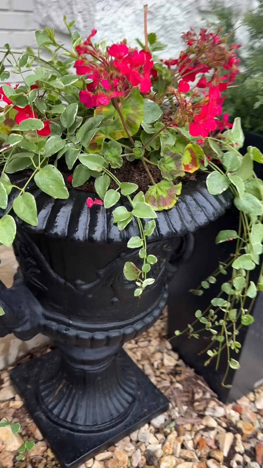 My new @wayfair urn I ordered during the Way Day sale! Definitely ordering another one! Love the details! 

#LTKHome