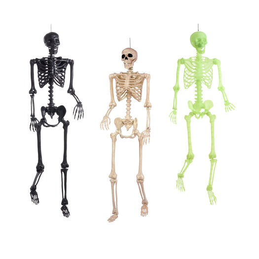 Human Skeleton Halloween Decor by World Market | World Market