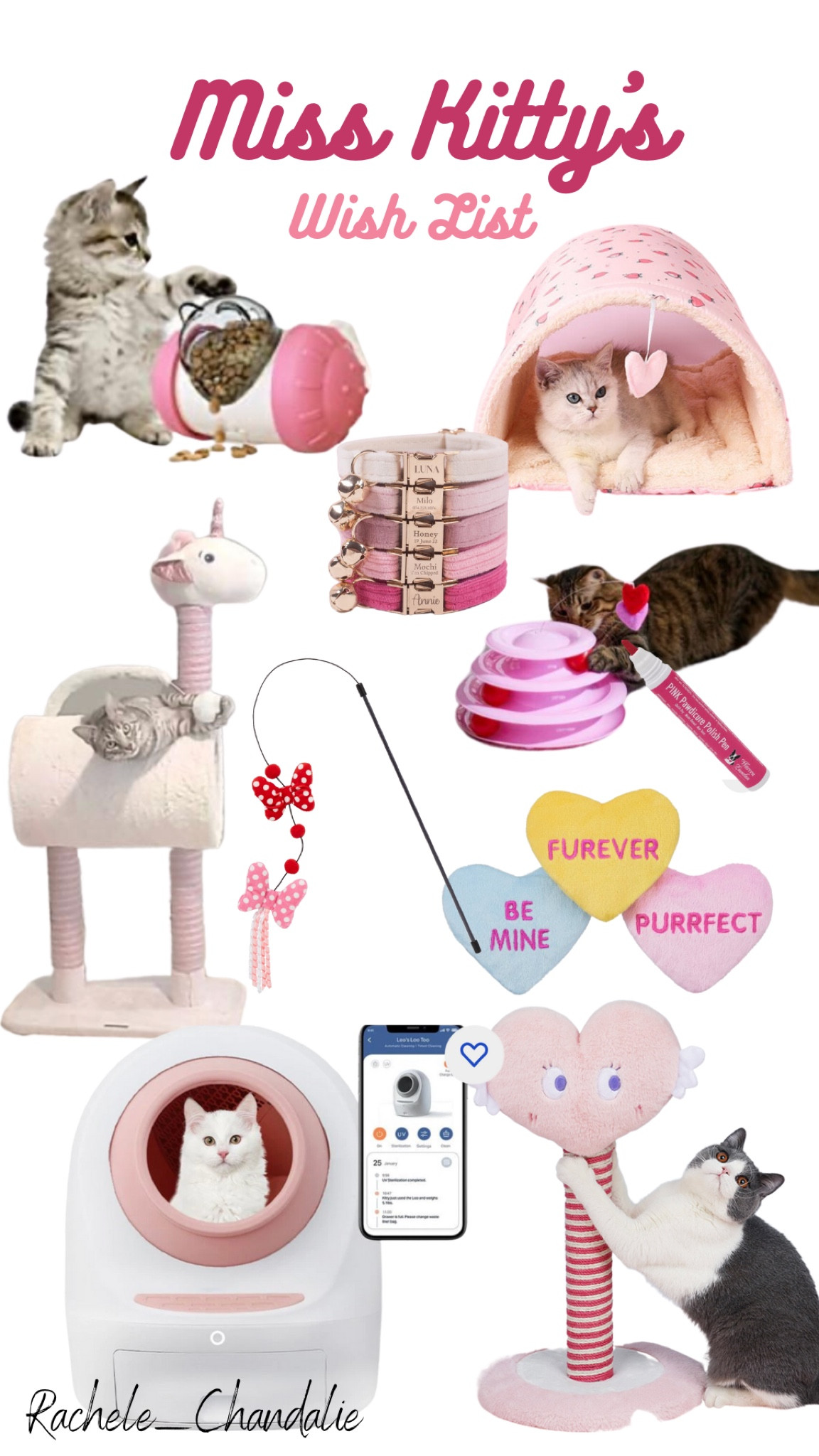Cat toys, Kitty toys, Pink cat toys, Valentine’s Day, Girl cat toys, Female cat, Cat collar, Cat litter box, Automatic Cat litter box (great reviews!)

#LTKfamily #LTKFind #LTKhome