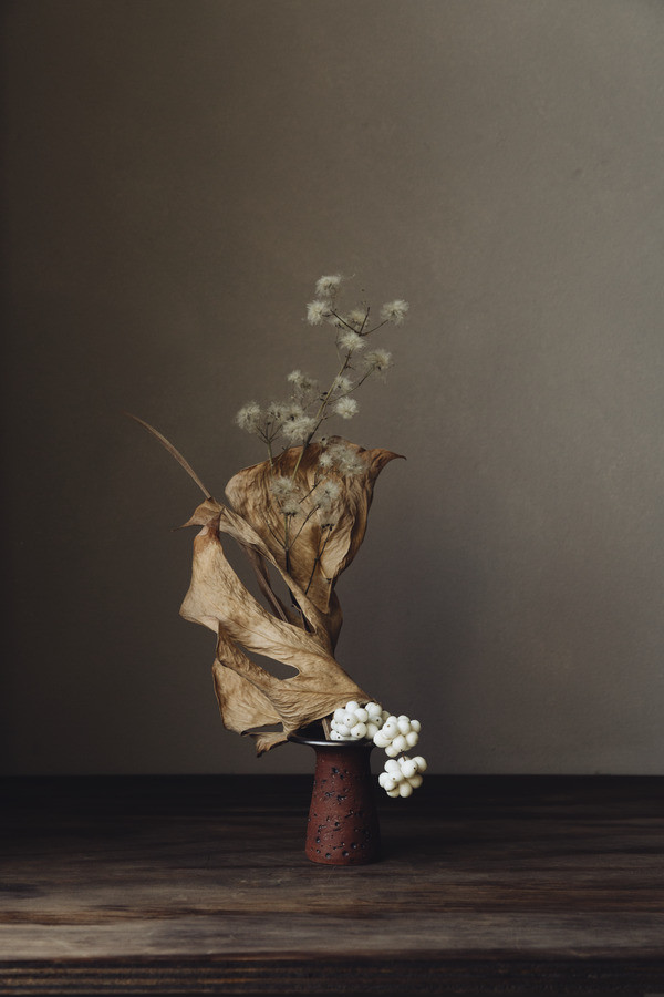 Still life with monstera leaf | Artfully Walls