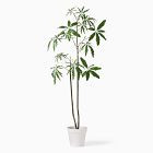 Faux Potted Brachychyton Rupestris Tree | West Elm (US)