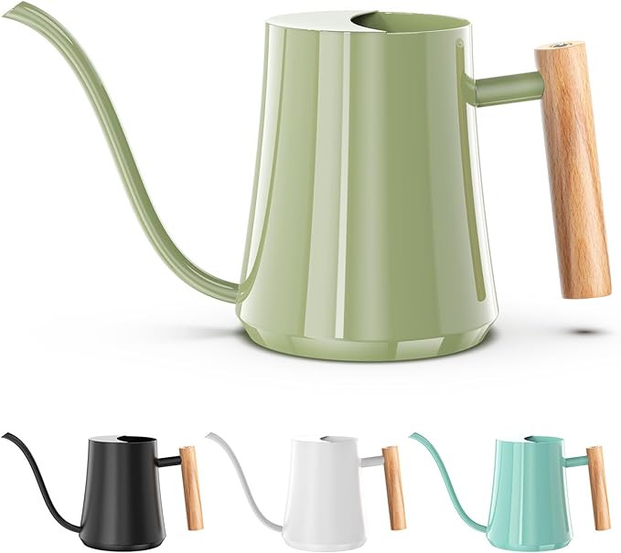 Watering Can Indoor Plants 35oz Sage Green Water Can Indoor Metal Small Water Can Pot with Long S... | Amazon (US)