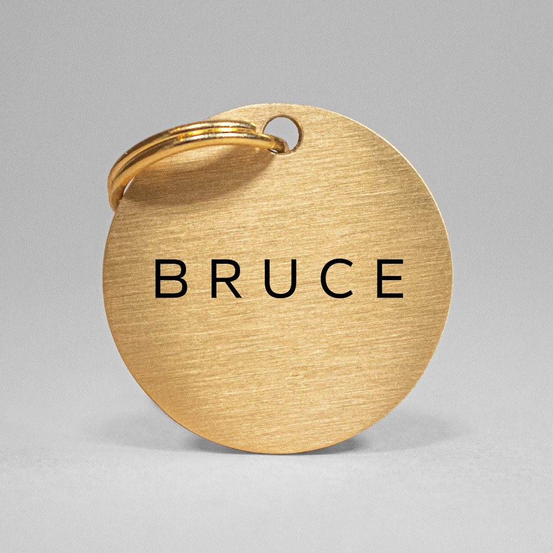 Dog Name Tags & Cat Name Tags Personalized Dog Tag Engraved - Etsy | Etsy (US)