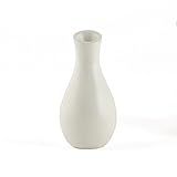 Weddingstar Mini Decorator Favor Vases, White Ice, Pack of 6 | Amazon (US)