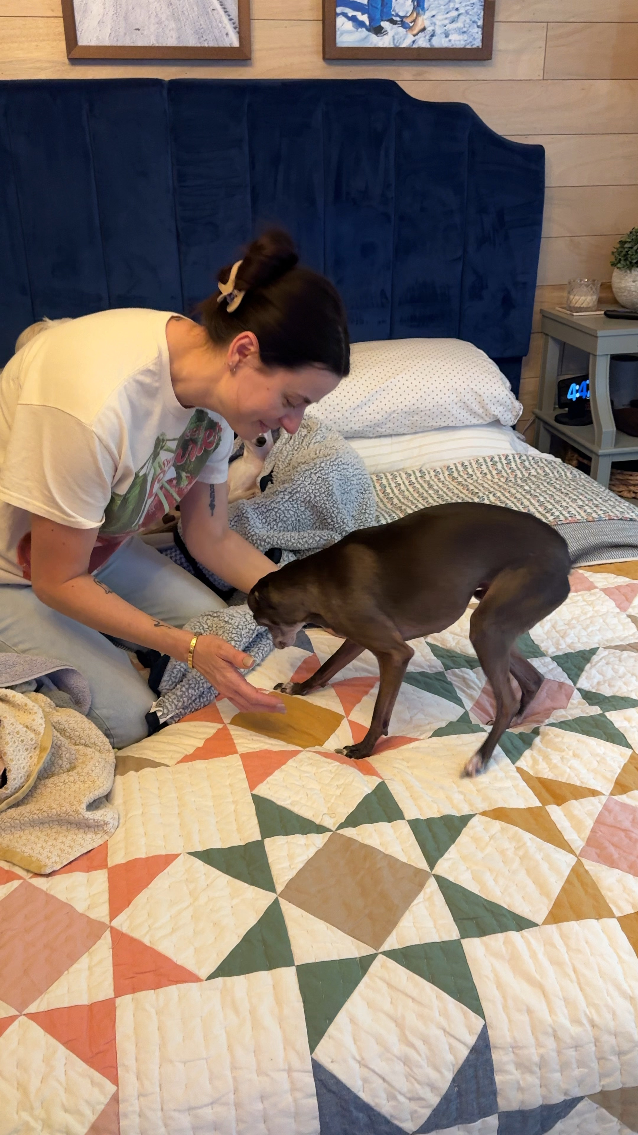 My dogs love how soft this quilt is - I love that it is washable. I have washed it more times than I can count. It is also on a Black Friday sale!!!

#LTKHome #LTKCyberWeek #LTKWatchNow