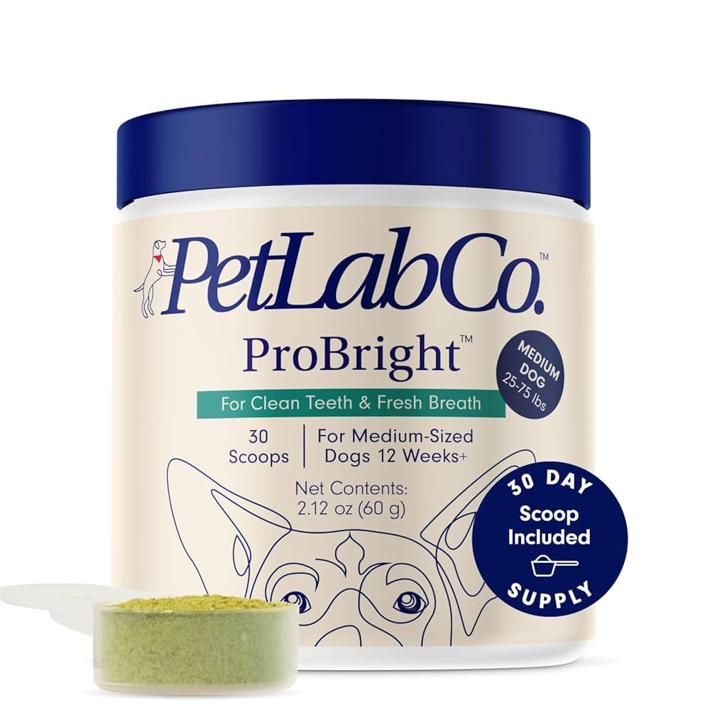 PetLab Co. ProBright Dental Powder - Dog Breath Freshener - Teeth Cleaning Made Easy – Targets ... | Amazon (US)